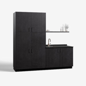 Chip Feelwoodblack Showroommodel